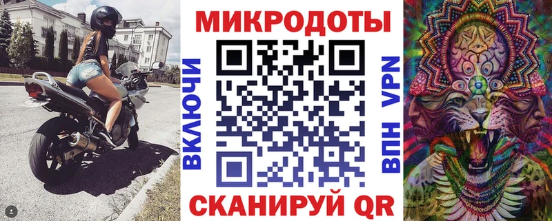 Галлюциногенные грибы Psilocybe  Купить  Камбарка 